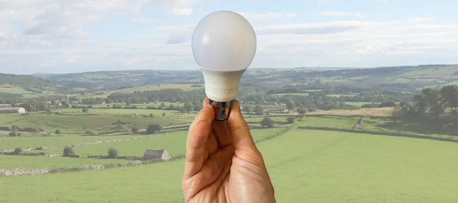 hand holding an LED lighbulb against a background of green fields